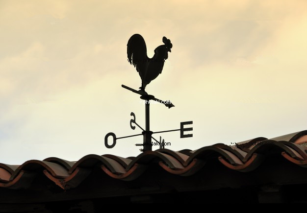 瑞馬燃?xì)獗趻鞝t，南方市場(chǎng)