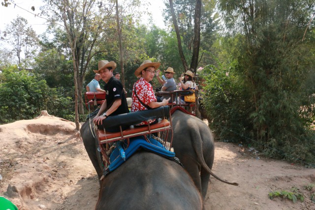 瑞馬加盟商騎象游玩不也樂(lè)乎 瑞馬加盟商騎象游玩不也樂(lè)乎