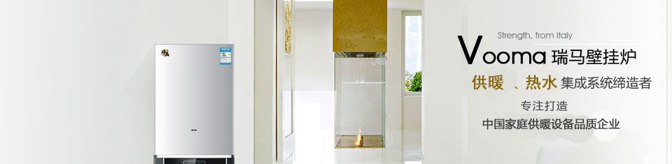 壁掛爐廠家 壁掛爐廠家